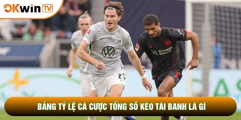 Bảng tỷ lệ cá cược tổng số kèo tài banh là gì