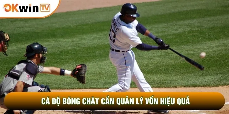 Cá độ bóng chày cần quản lý vốn hiệu quả