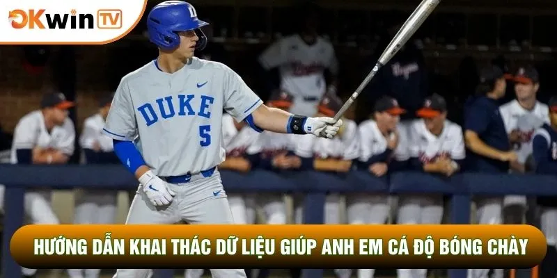 Hướng dẫn khai thác dữ liệu giúp anh em cá độ bóng chày